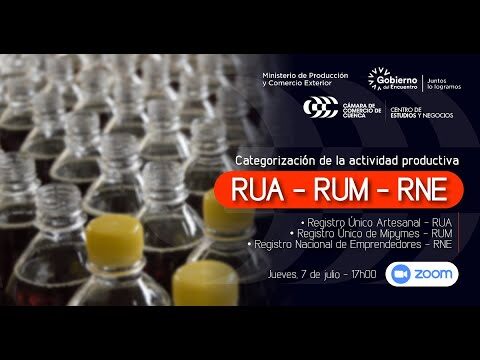 Guía para Registrar una Empresa en A Rúa