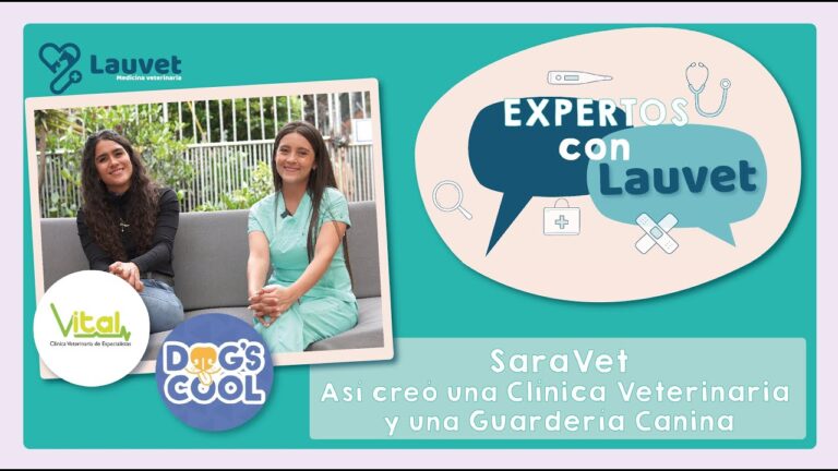 Servicios de guardería para mascotas en Ourense