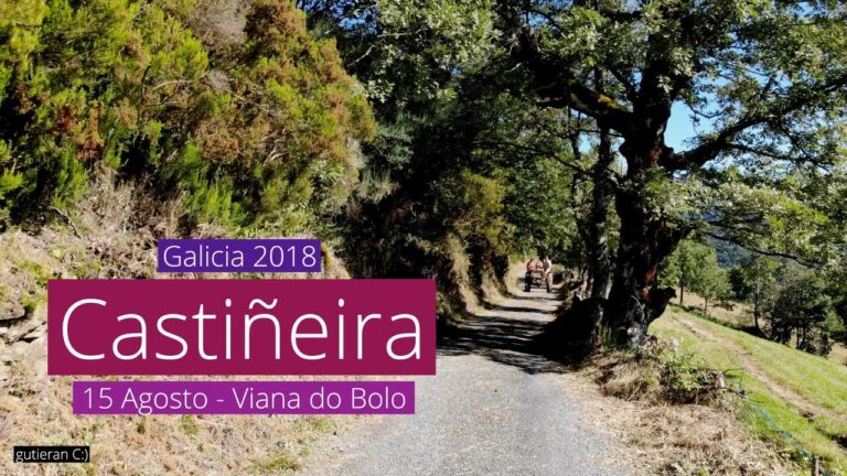 Guía para Obtener una Licencia de Apertura en Viana do Bolo