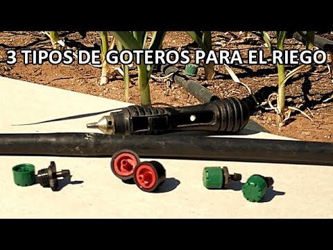 Zonas Verdes Recomendables en Ver&iacute;n