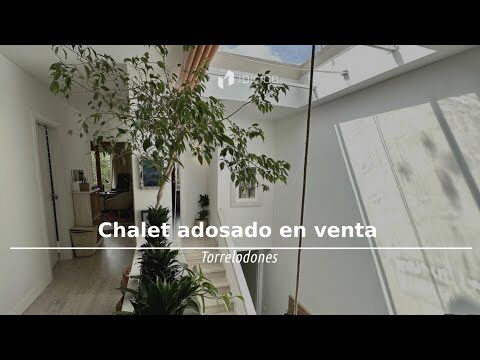 Ambiente en las Plazas de Allariz: Un An&aacute;lisis Profundo
