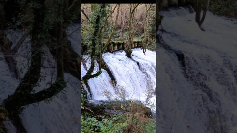 Las Mejores Rutas de Caminata Cerca de Ourense