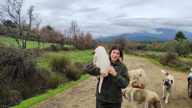 Senderismo con Perros en Verín: Mejores Rutas y Consejos